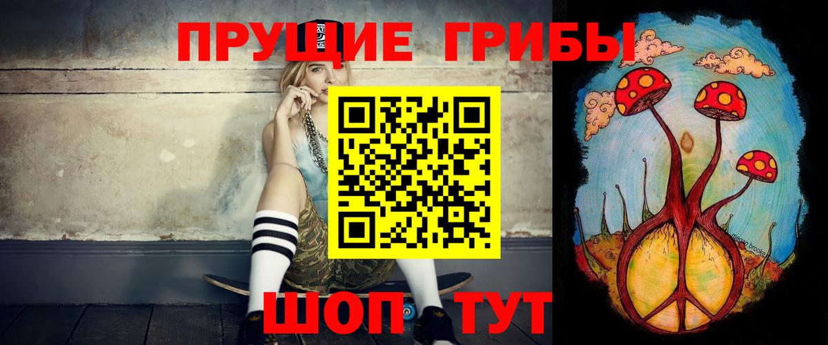 Дербент  Псилоцибиновые грибы Cubensis  Вход с VPN 